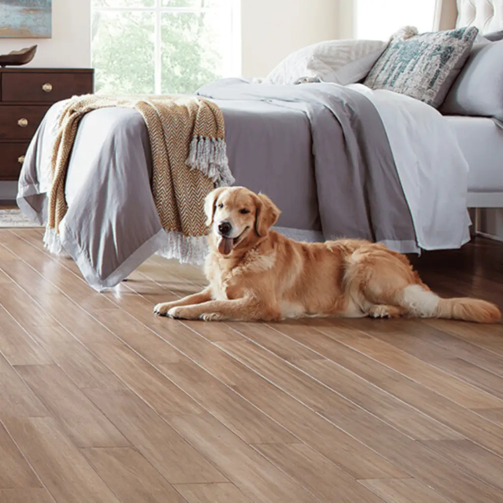 FloorDaddy Phoenix Flooring and Installation Company