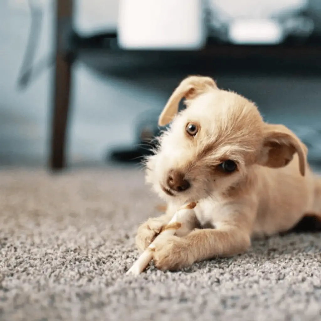 Phoenix Flooring Company