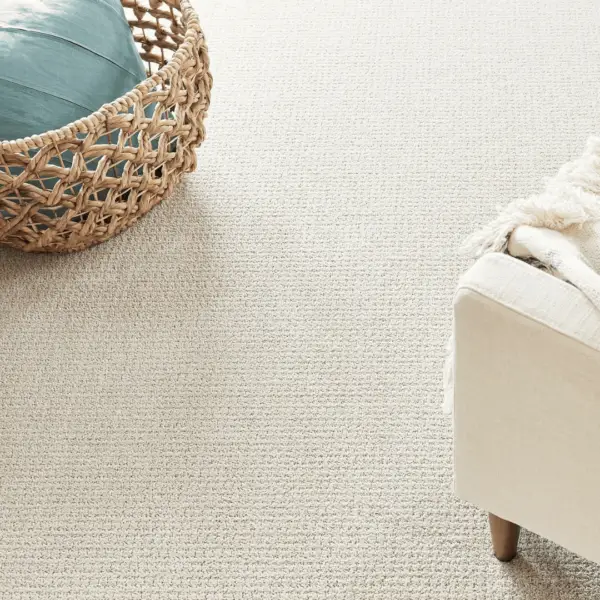 Pet-friendly stain-resistant carpet close up