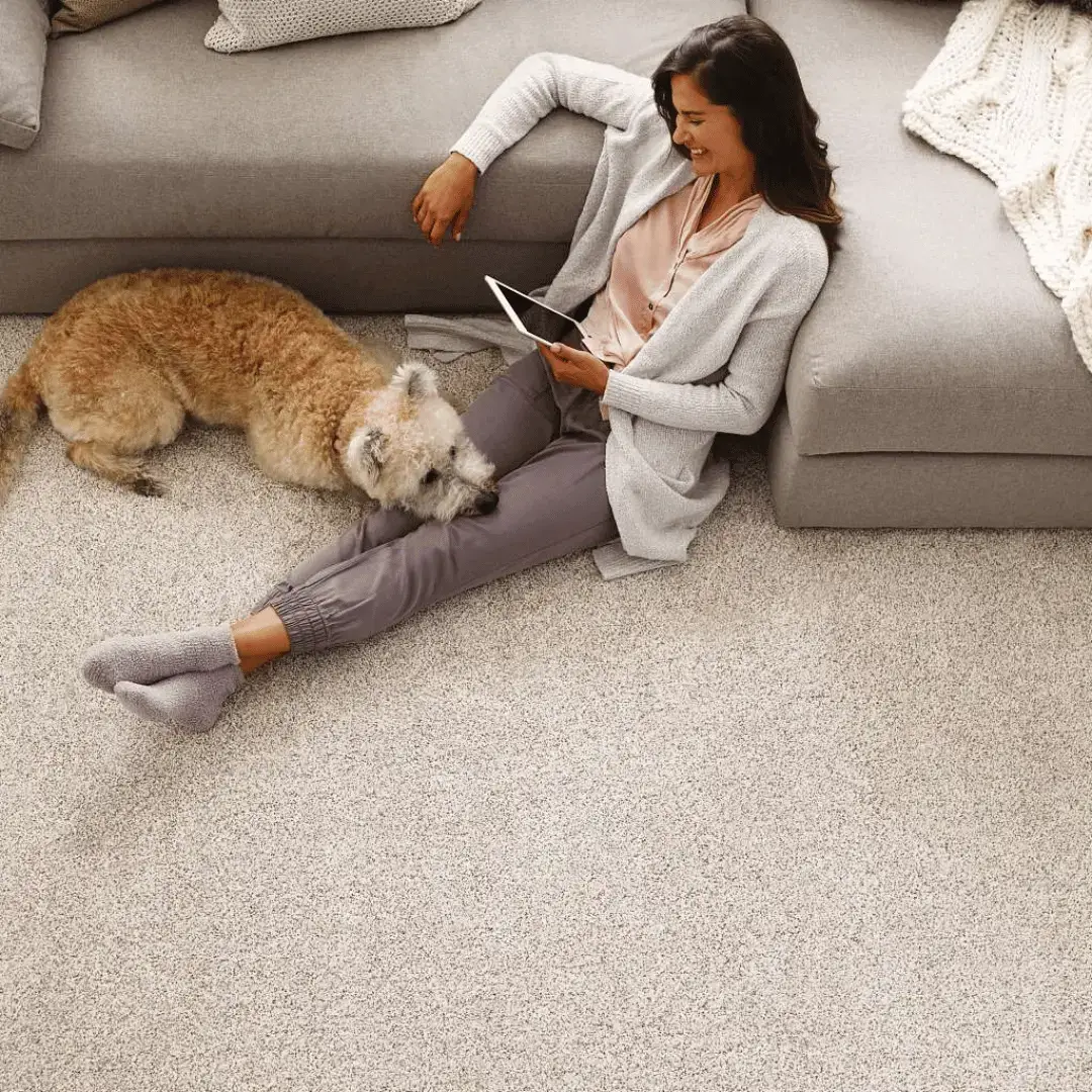 Phoenix Carpet Flooring Company