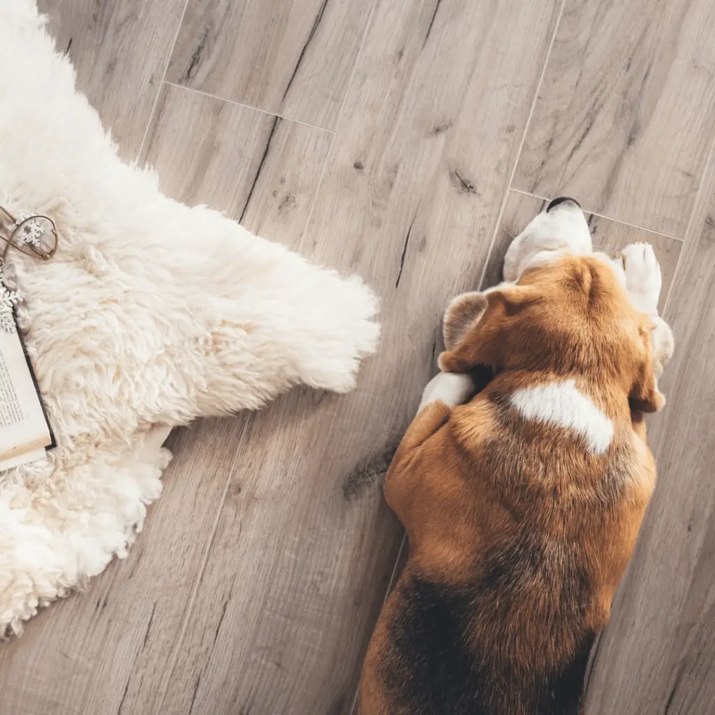 Phoenix Vinyl Plank Flooring Company
