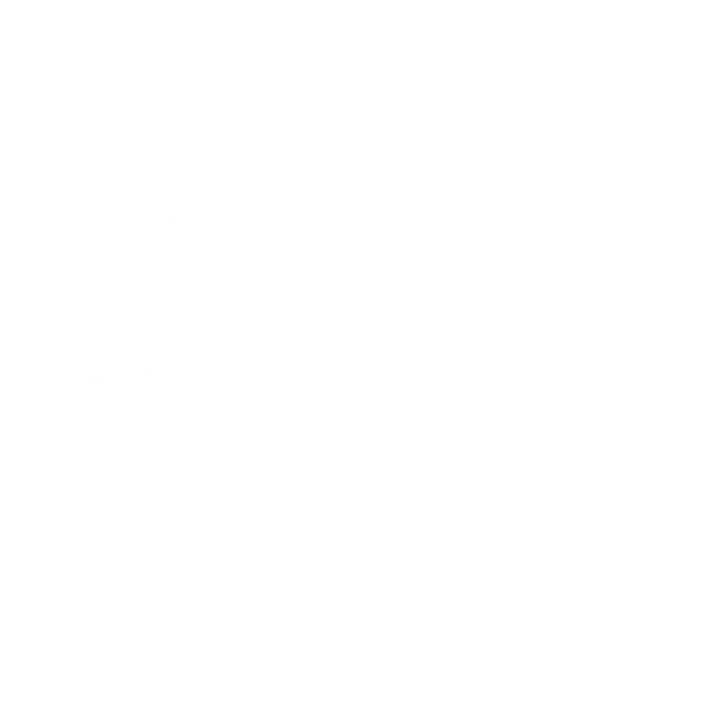 Phoenix Carpet Flooring Company