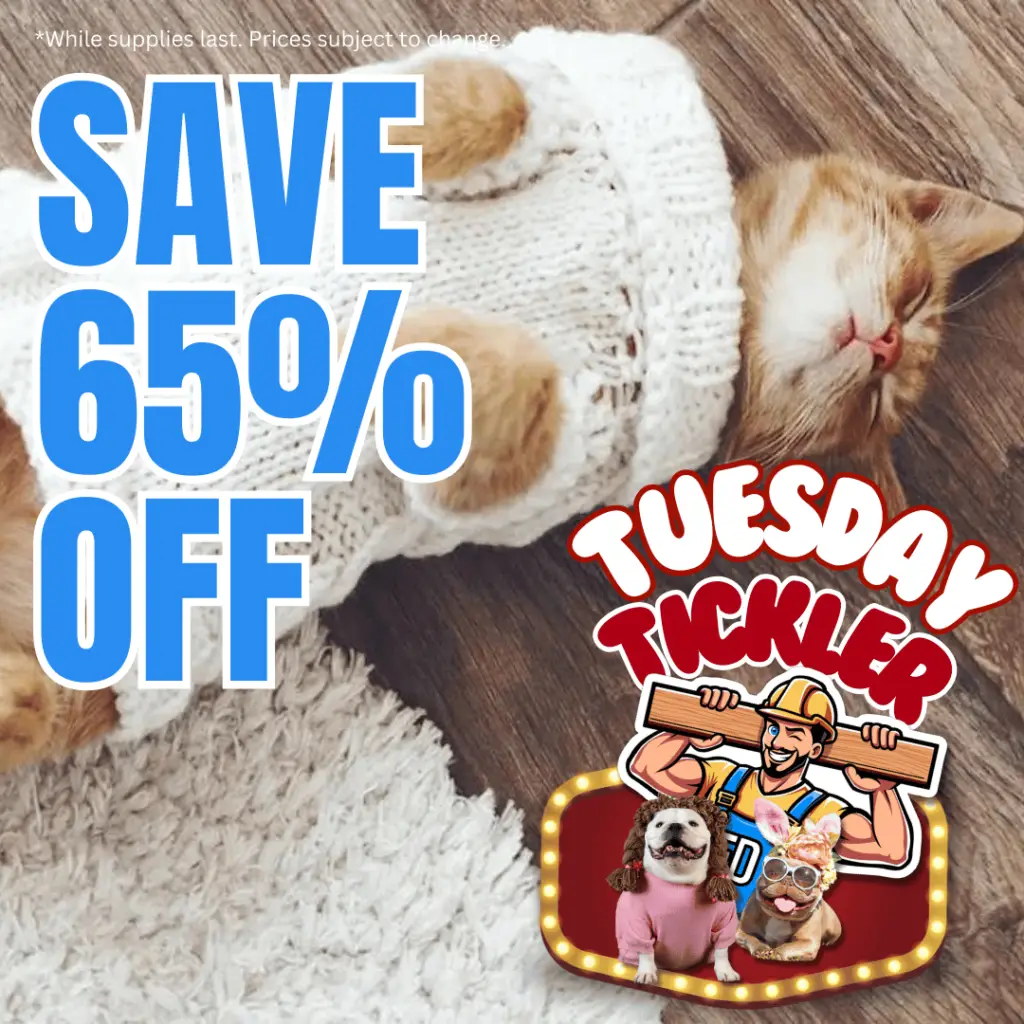 Tuesday Tickler Special Flooring Offers Floor Daddy Deals