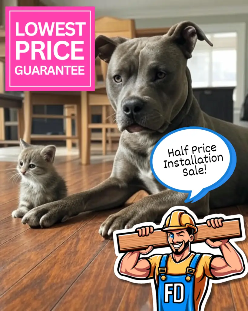 floor daddy special offers