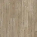 Canyon Pine