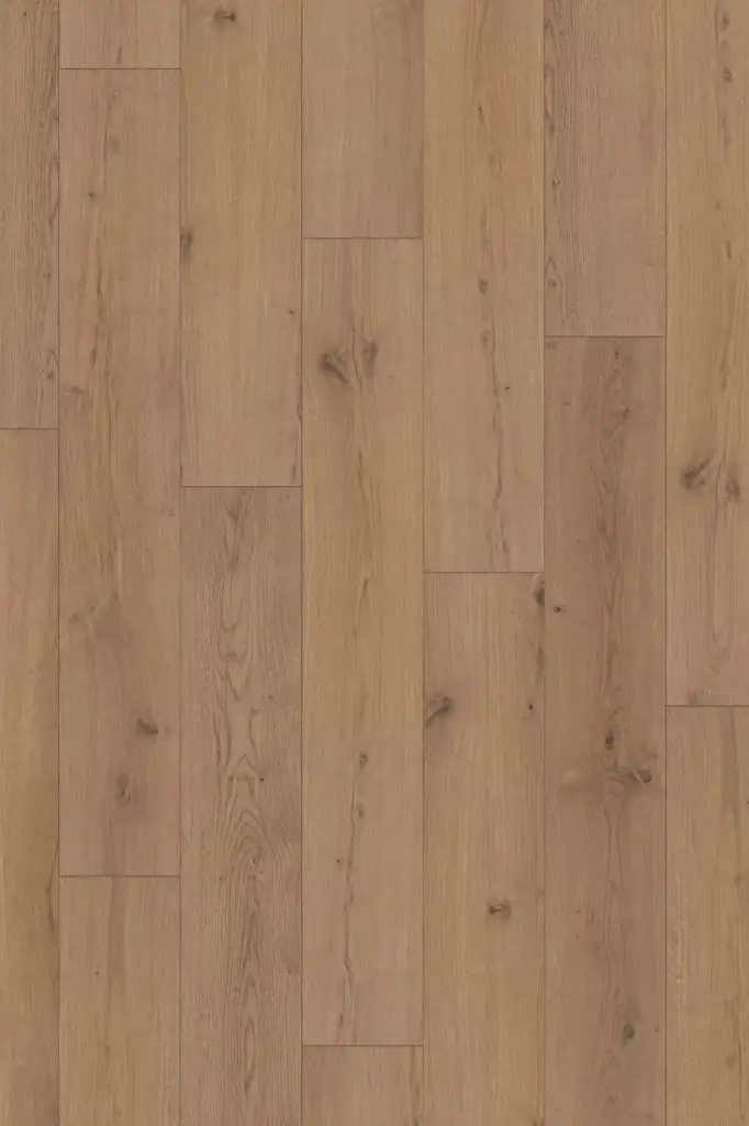 Legacy Oak