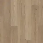Ponderosa Pine