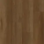 Cedar