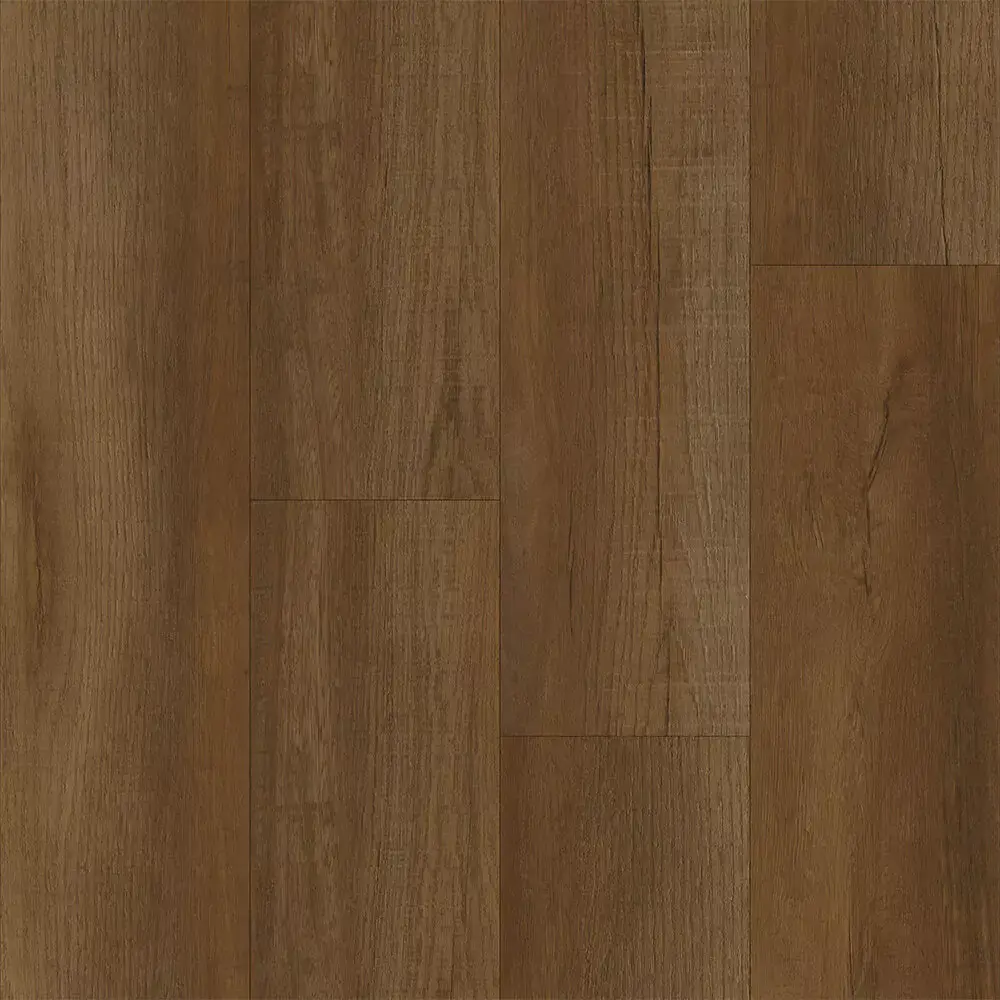 Cedar