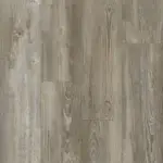 Fossil