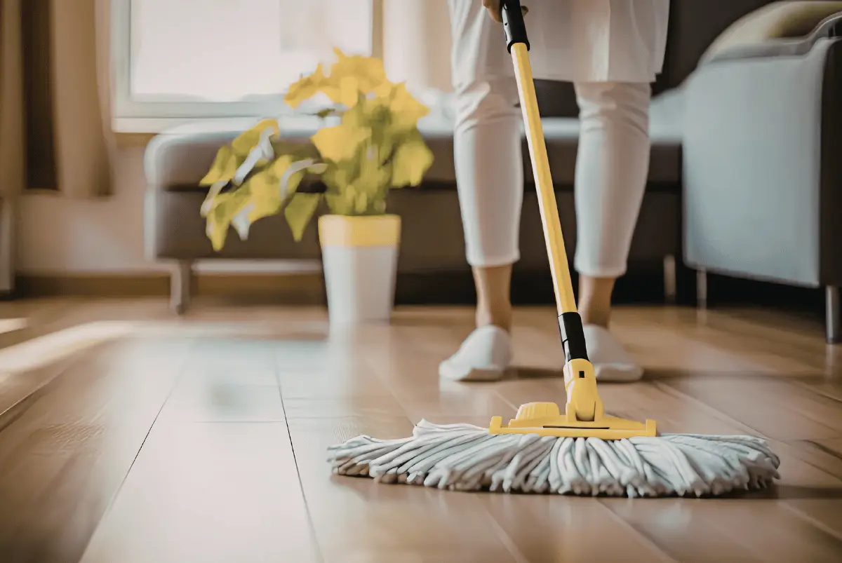 Maintenance & Longevity Guide