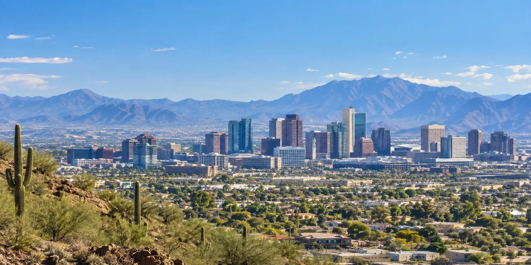 Phoenix metro skyline and valley served by Floor Daddy